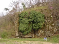 선운산 > 등산낚시가이드