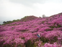 ◐ 5/5 천상정원 “황매산” 모산재 철쭉 산행에 여러분 초대합니다 > 둘레길