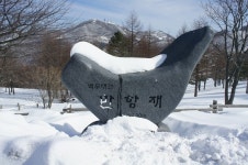 함백눈꽃 > 등산낚시가이드