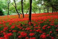 선운산 > 등산낚시가이드