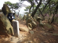 수정산-엄광산 : [성북고개~수정산~임도~엄광산~초소갈림길~임도~수정산둘레길~안창마을] > 지역명산