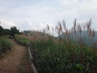 승학산 : 동아대입구정류장~동아대학교~승학산~안부~구덕산~시약산~한샘약수터~동주대학~대티역 > 지역명산
