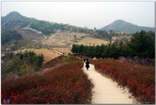 아산 영인산(2014/04/13)(1) > 지역명산