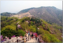 아산 영인산(2014/04/13)(2) > 지역명산