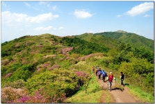 천상의화원(天上의花園)지리산 바래봉 철쭉산행 > 테마산행