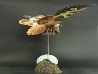 히어로타임!!! 엑스플러스 토호 대괴수 시리즈 모스라(1964)