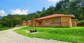 런던한인회 : - 코리안넷, 재외동포재단, 한인회, Community, 정보공유