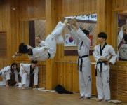 중국한국인회 : - 재중국한국인회