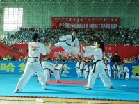 이미지 : 태권도 대회 - 후스주관 3개국 초청