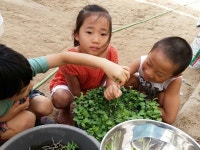 이미지 : 새싹 비빔밥 실습