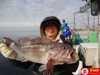 (南)남해조황 - 5월1일 울진 왕돌초 참우럭 낚시 조황안내~!!