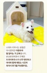 초코펫하우스 드라이하우스 강아지집 펫드라이룸 프리미엄