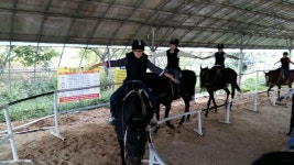 기관소개 > 학교 소식