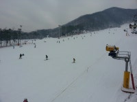 보드장소식 - 12월 28일 지산주간