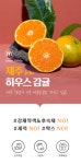 하프클럽 [몽테이블][몽테이블]제주 하우스감귤 선물세트 4kg (로열과)