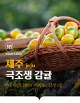 [몽테이블][몽테이블] 제주 극조생감귤 3kg (로열과/ S-M)