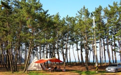 누구나앨범 - 5월은 가정의 달...가족과 함께하는 캠핑...