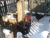 열린게시판 - 고맙습니다. 향린 태양광 발전소 설치 완료 소식 전합니다.