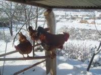 열린게시판 - 고맙습니다. 향린 태양광 발전소 설치 완료 소식 전합니다.