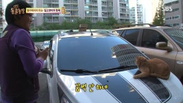 뽐뿌:자유게시판 - 엘리베이터냥.jpg