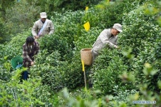 Life in China 生活在中國 | Page 176 | SkyscraperCity Life in China 生活在中國