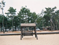 외방커뮤니티 > 사진방 > 강릉으로 도망쳐