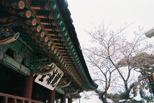 외방커뮤니티 > 사진방 > 강릉으로 도망쳐