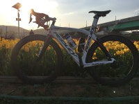 클리앙 소모임 > 자전거당 > 날이좋아서 한바퀴(데이터 주의)