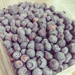 외방커뮤니티 > 사진방 > 공대누나