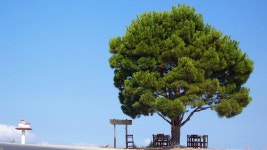  CRETE - beautiful island (1 p. p. p. - open to all !) - Page 4026 - SkyscraperCity