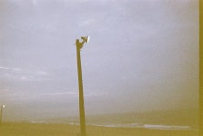 외방커뮤니티 > 사진방 > 강릉으로 도망쳐