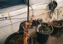 외방커뮤니티 > 사진방 > 강릉으로 도망쳐