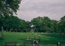 외방커뮤니티 > 사진방 > 일요일, 공원.