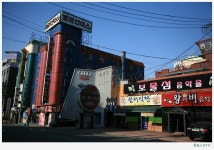 외방커뮤니티 > 사진방 > 줄의 고장 전주 (05.05-06)