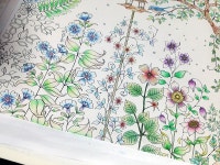 외방커뮤니티 > 꾸미기방 > 나도 한다. 컬러링북 사공.