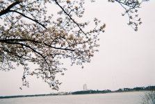 외방커뮤니티 > 사진방 > 강릉으로 도망쳐