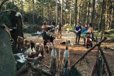 News - Steam Community Announcements