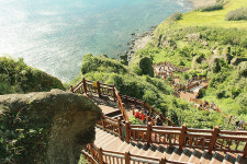 외방커뮤니티 > 사진방 > 늦었지만 나도 가 본 여름의 제주도