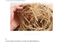 [삼우산업 (경남사천 건어물)] 명태채 250g