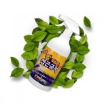 종합쇼핑몰 | LATELY(레이틀리)