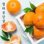 종합쇼핑몰 | LATELY(레이틀리)