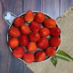 종합쇼핑몰 | LATELY(레이틀리)