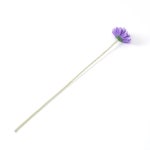 종합쇼핑몰 | LATELY(레이틀리)