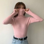 종합쇼핑몰 | LATELY(레이틀리)