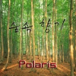 Polaris - 숲속향기 [digital single] (2012) :: maniadb.com Polaris - 숲속향기 [digital single] (2012)