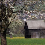 조순종 - 나무와 집 [digital single] (2020) :: maniadb.com 조순종 - 나무와 집 [digital single] (2020)