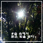 조순종 - 숲 속에서 밝은 빛을 보다 [digital single] (2019) :: maniadb.com 조순종 - 숲 속에서 밝은 빛을 보다 [digital single] (2019)