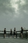 블랙 펄 :: maniadb.com 블랙 펄
