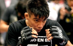 All the action from the UFC 145 open workouts - Telegraph