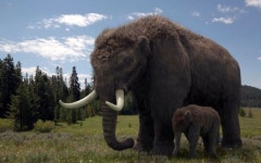 Meet the Ice Age Giants - Telegraph